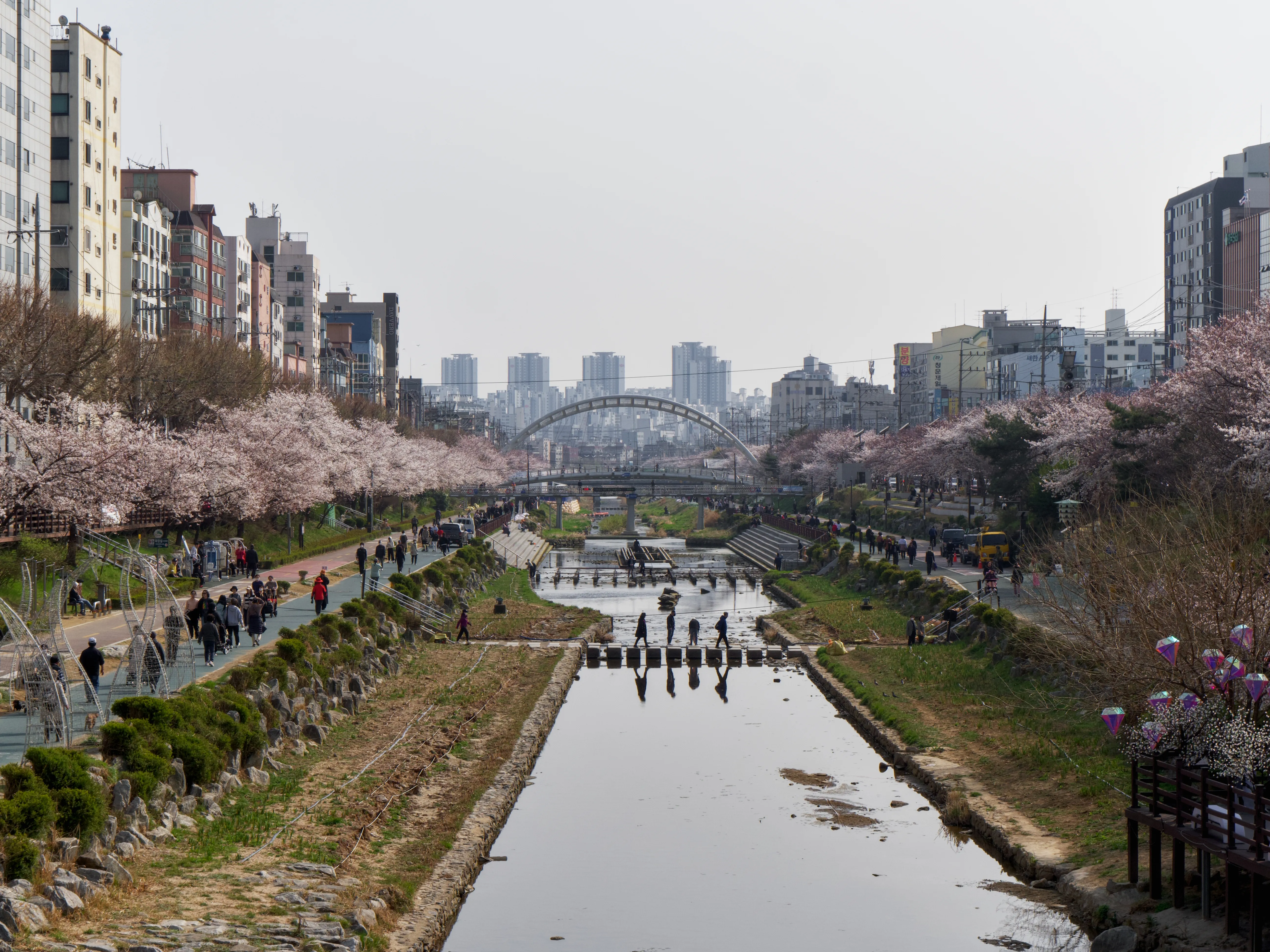 Roaming The Streets Gallery - Picture 9